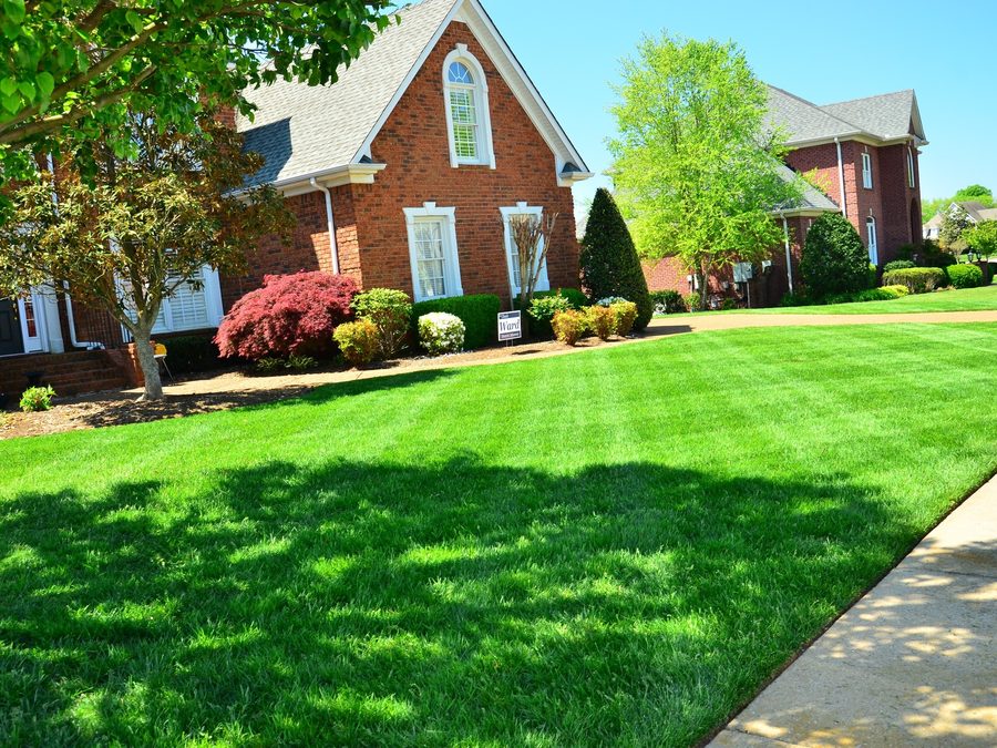 Weekly mowing & striping — Arlington, TX