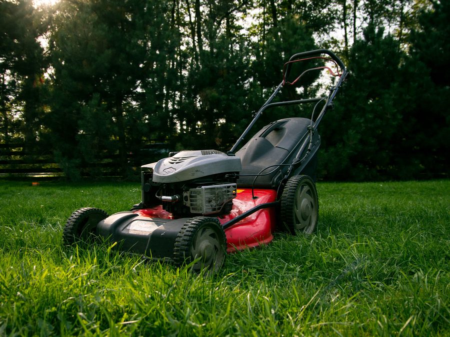Bi-weekly mow & blow-down — Kennedale, TX